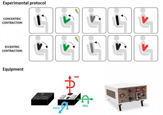 Concentric and Eccentric contractions plus equipment